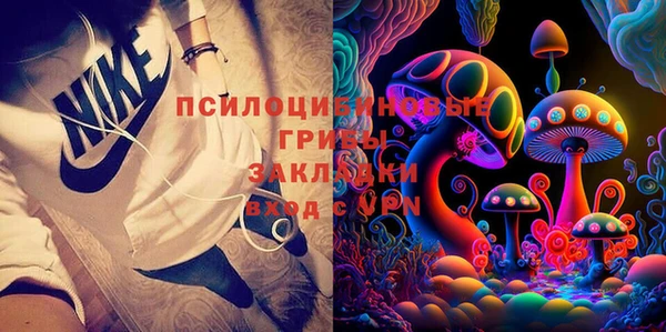 дживик Верея