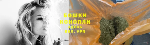 дживик Верея
